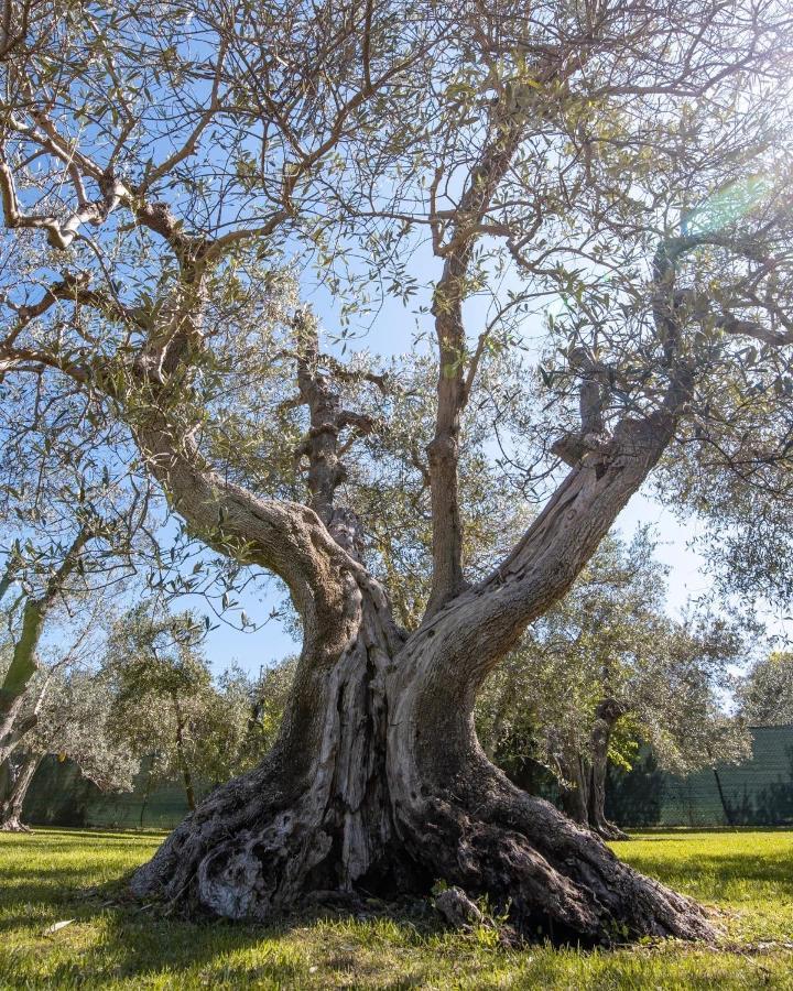 Il Bottaccio Casa Di Campagna เวนตูรีนา แตร์เม ภายนอก รูปภาพ